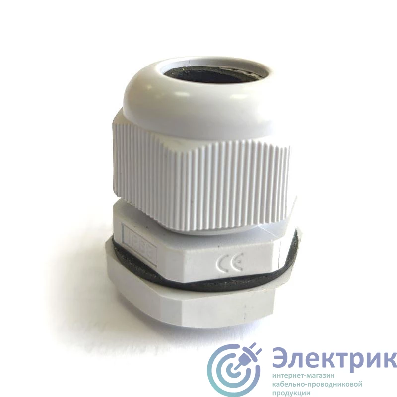 Фото ЗЭТАРУС zeta30906