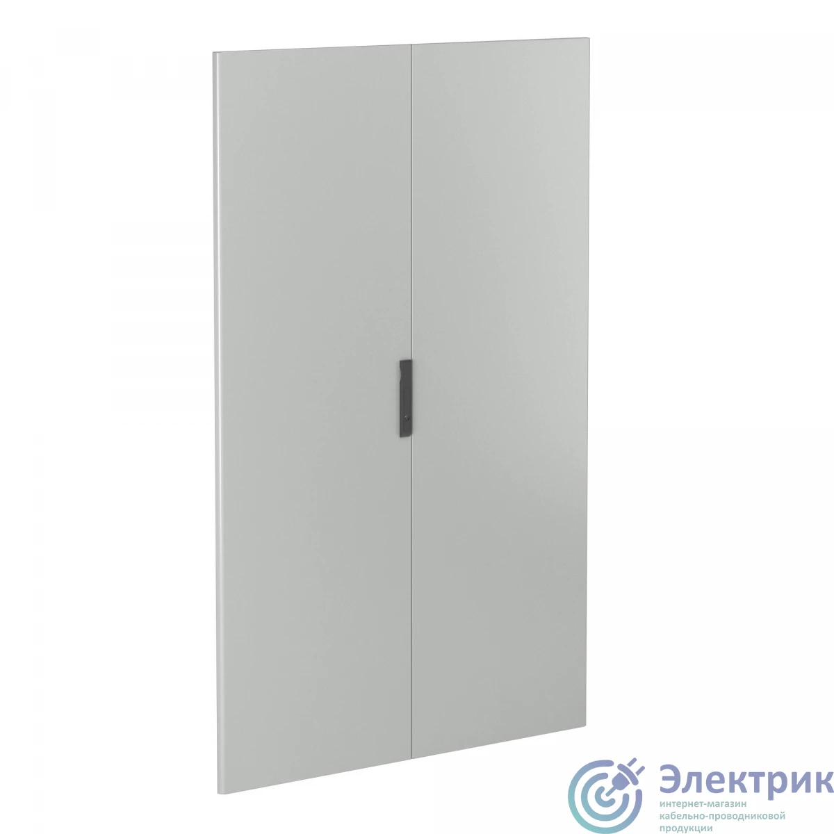 R5CPE20120 | Дверь сплошная двустворчатая для шкафов CQE/DAE ВхШ 2000х1200 мм DKC 