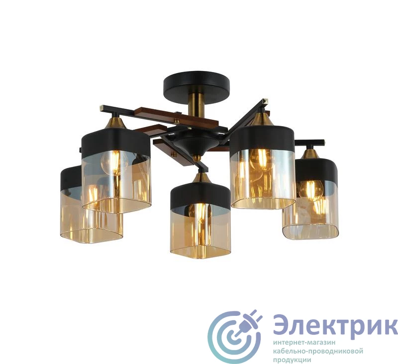 Фото  FR5154PL-05B