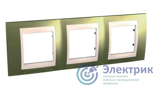 Schneider Electric MGU66.006.504 