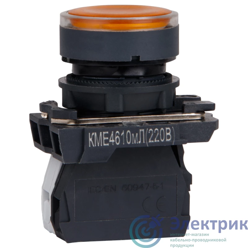 Фото КЭАЗ 248253