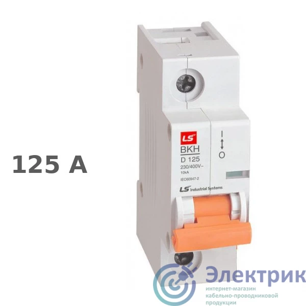 Фото LS Electric 061106618B