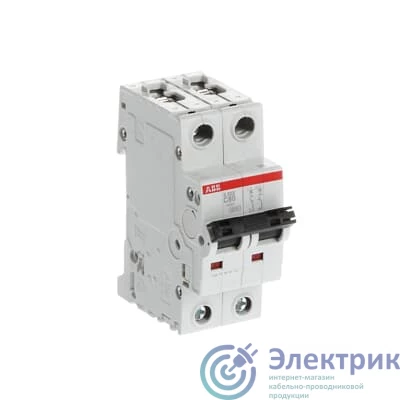 2CDS252001R0804 | Выключатель автоматический модульный 2п C 80А 6кА S202 C80 ABB