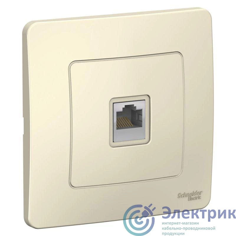 Фото Systeme Electric BLNIS045002