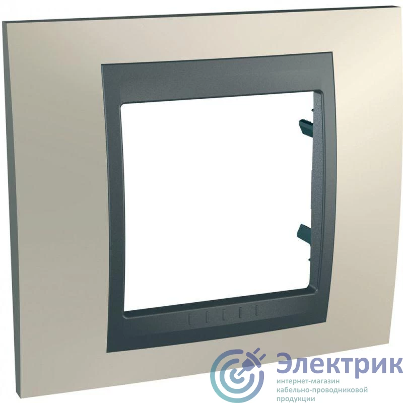 Schneider Electric MGU66.002.295 