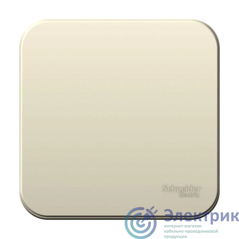 Фото Systeme Electric BLNVA101012