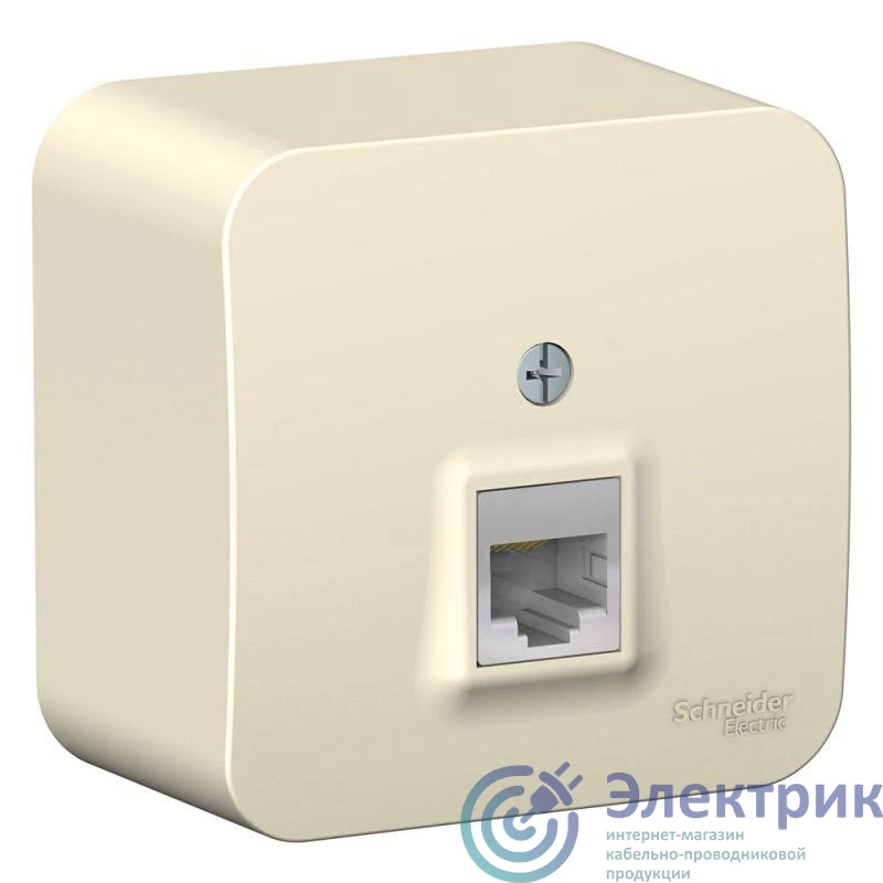 Фото Systeme Electric BLNIA045002