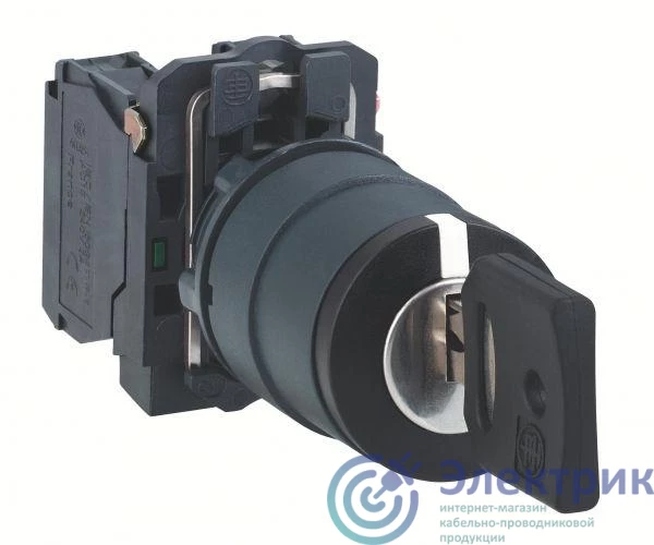 Schneider Electric XB5AG21 