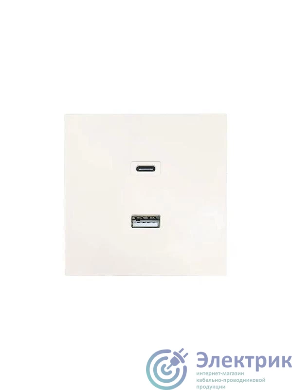 704-9088-192TC | Розетка СП ZIMA IP20 Type-C + USB механизм сл. кость LEZARD