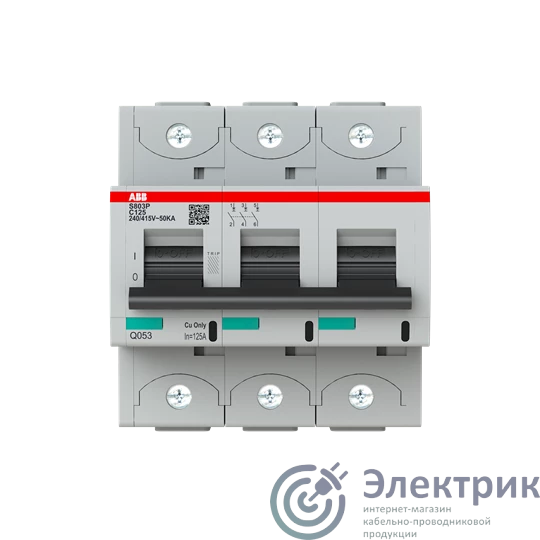 Фото ABB 2CCG001234R0001