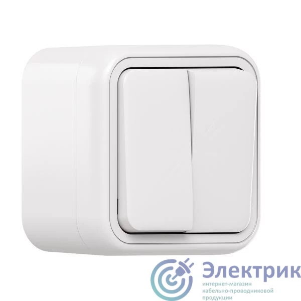 Фото  BT1-SWW-20