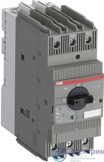 Фото ABB 1SAM451000R1018