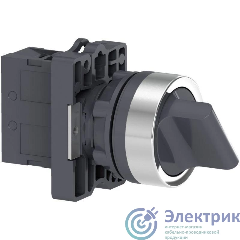 Schneider Electric XA2ED21 