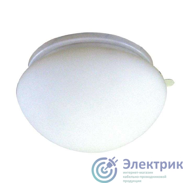 Фото  1005151034