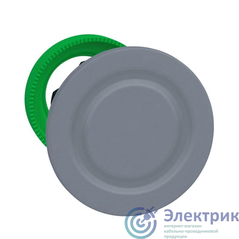 Фото Schneider Electric ZB5FSZ3C0