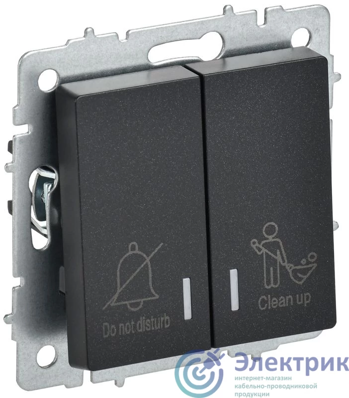 BR-V20-2-10-K02 | Выключатель 2-кл. BRITE 10А ВС10-2-9-БрЧ для отелей с индик. механизм черн. IEK 