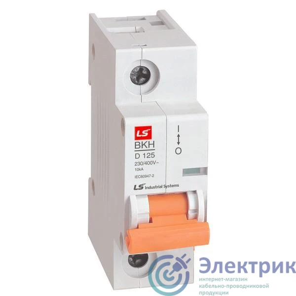 Фото LS Electric 061106618B