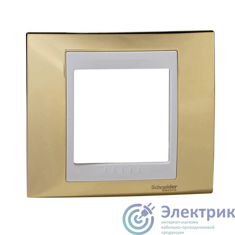 Schneider Electric MGU66.002.804 