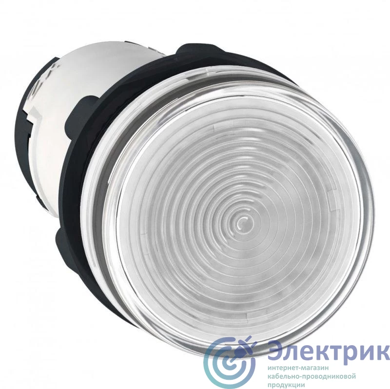 Фото Schneider Electric XB7EV67P
