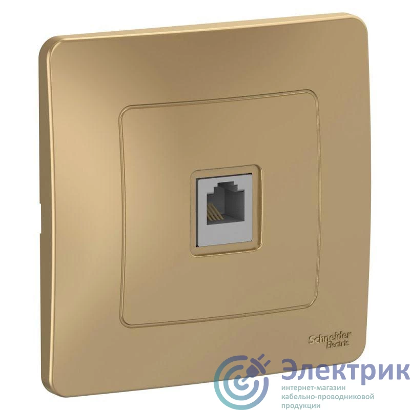 Фото Systeme Electric BLNIS011004