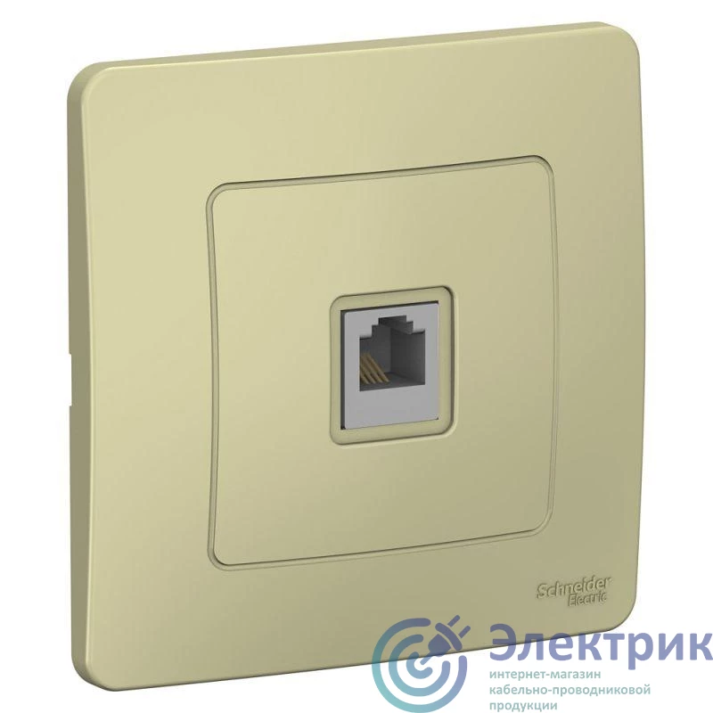 Фото Systeme Electric BLNIS011007