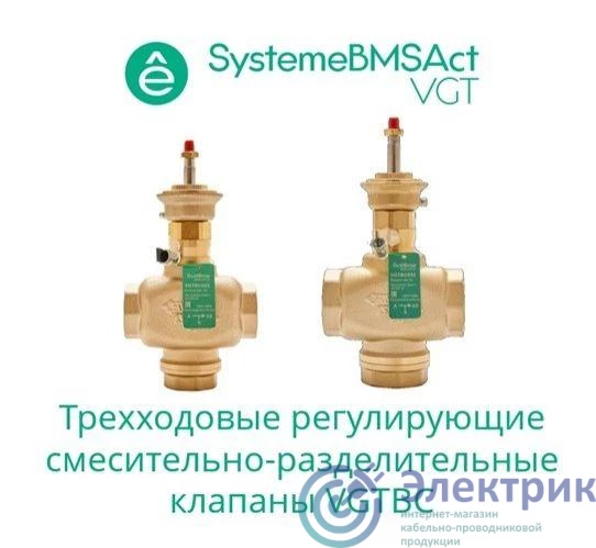 Фото Systeme Electric VGTBC020