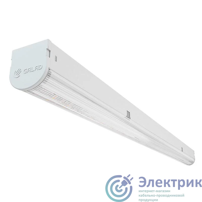 Фото  10574