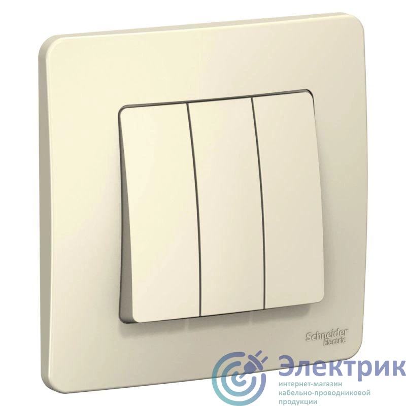 Фото Systeme Electric BLNVS100502