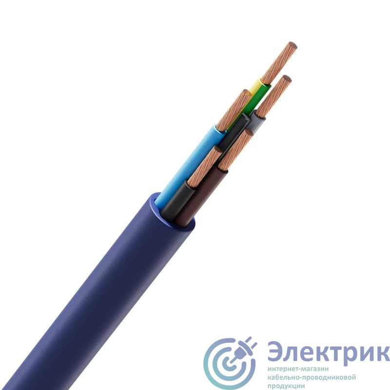 Фото Русский Свет КПП 10168