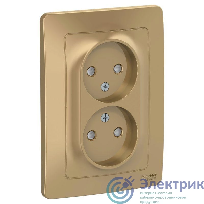 Systeme Electric BLNRS000124 