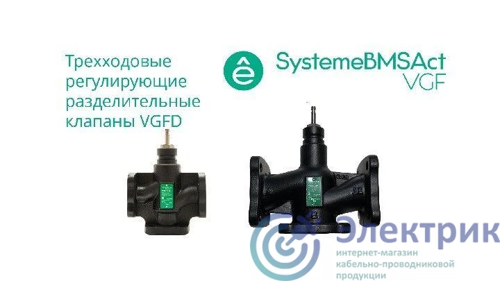 Фото Systeme Electric VGFD032