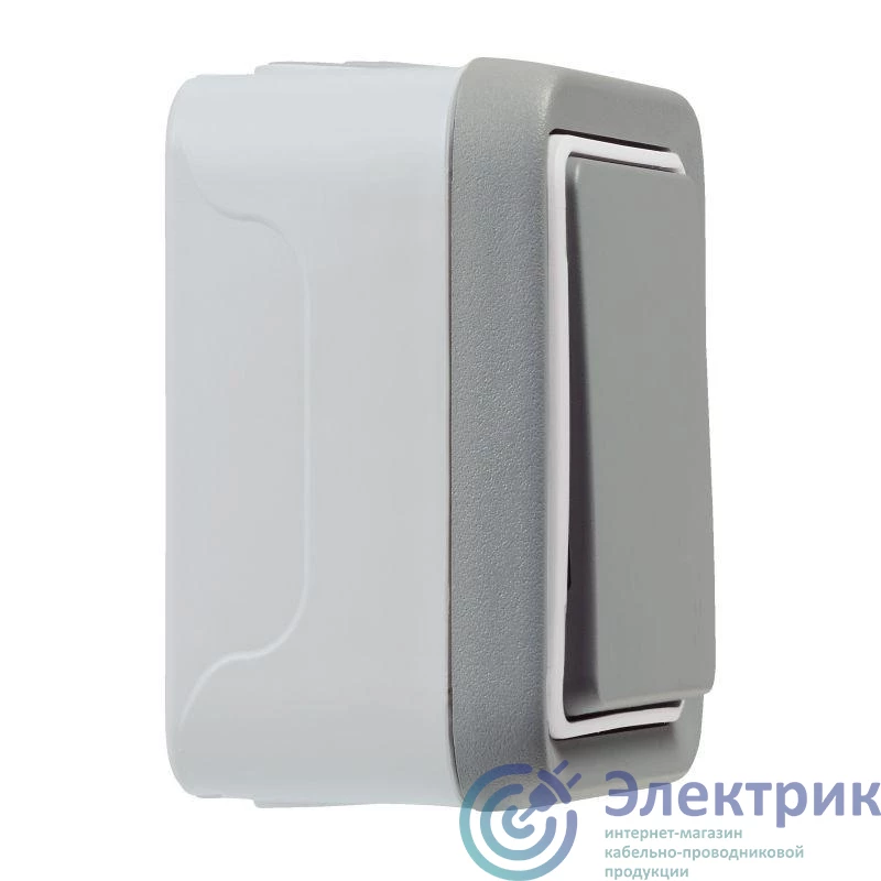 069711 | Переключатель проходной 1-кл. 1п ОП Plexo 10А IP55 250В сер. Leg 