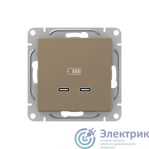 UP1-SOC-2USBC | Розетка 2-м СП Эпика USB-C механизм шампань EKF 