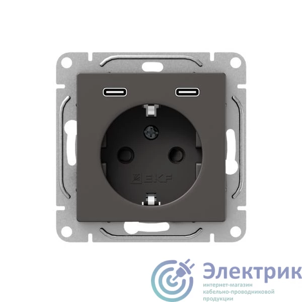 Фото EKF UP1-SOM-111-2USBC
