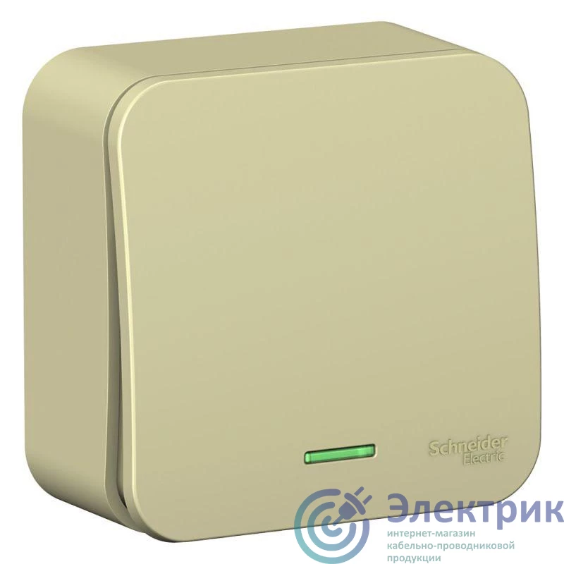 Фото Systeme Electric BLNVA101117