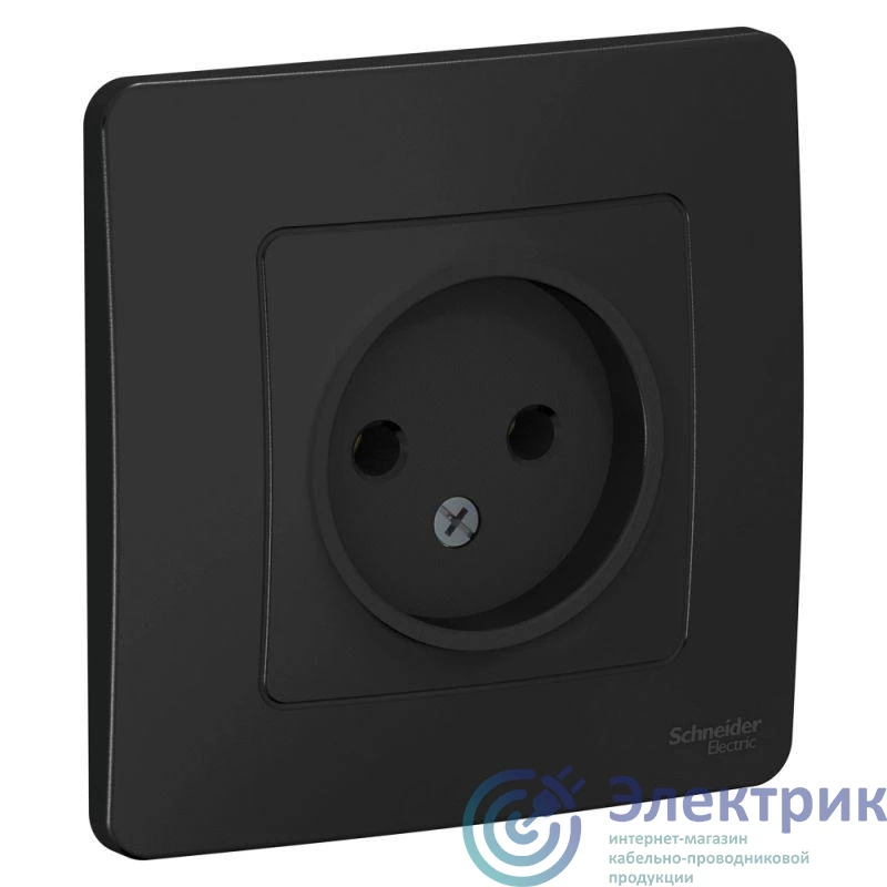 BLNRS000016 | Розетка 1-м СП Blanca 16А IP20 250В без заземл. без защ. шторок антрацит SE 