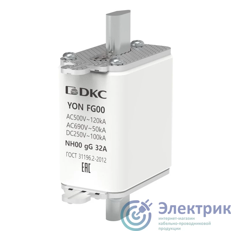 Фото YON (группа DKC) 1FG00-0032