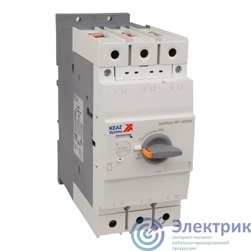 КЭАЗ 251737 