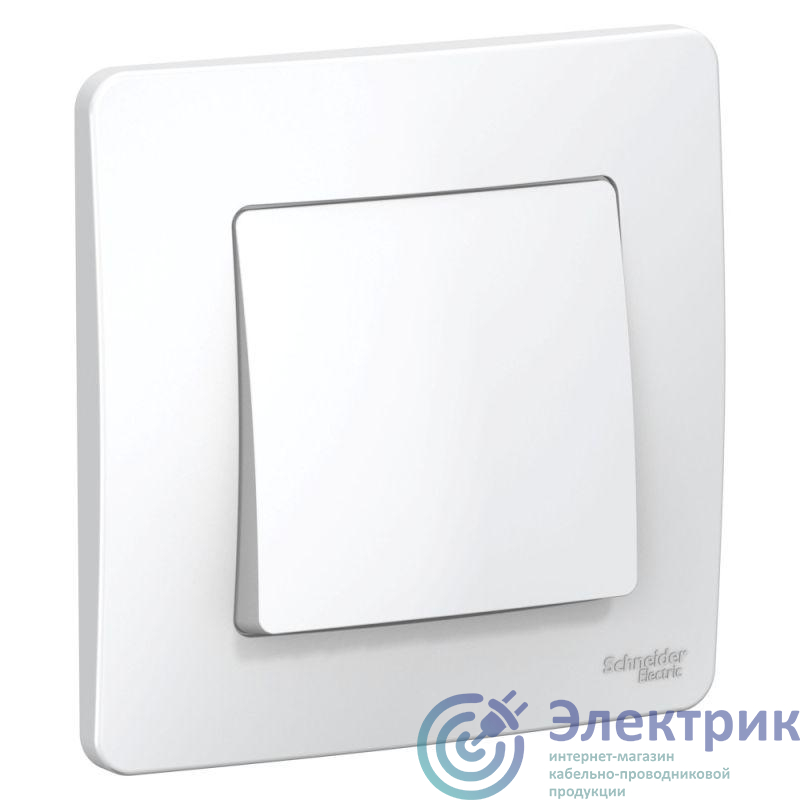 Фото Systeme Electric BLNVS006101