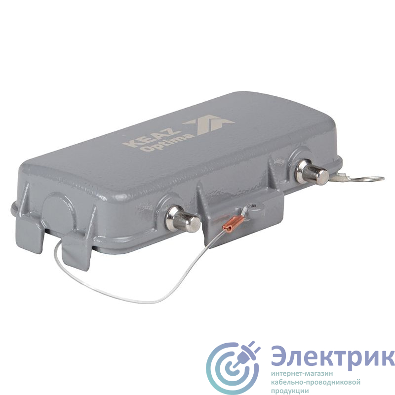 Фото КЭАЗ 353740
