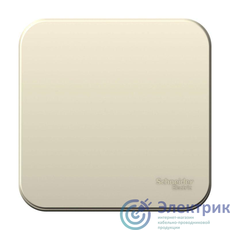 Фото Systeme Electric BLNVA101012