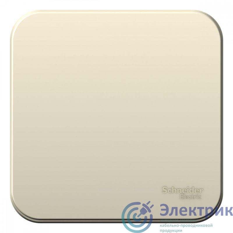 Фото Systeme Electric BLNCA101012