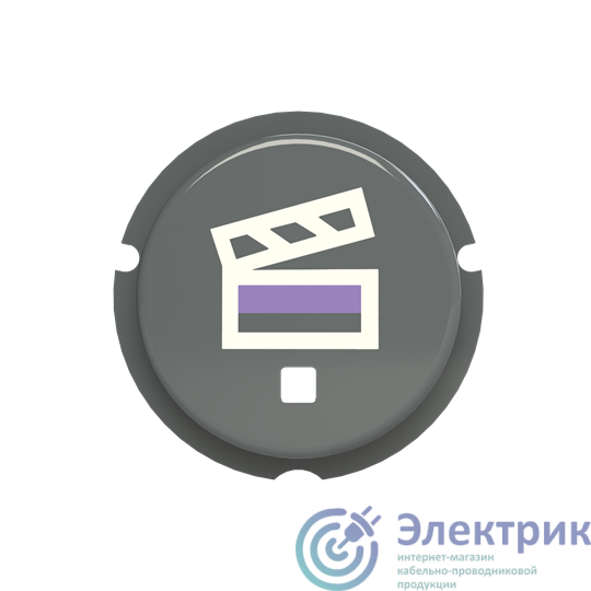 Кнопка "Сцена" SBS-N2GR free@home Zenit сер. ABB 2CLA202630N1402