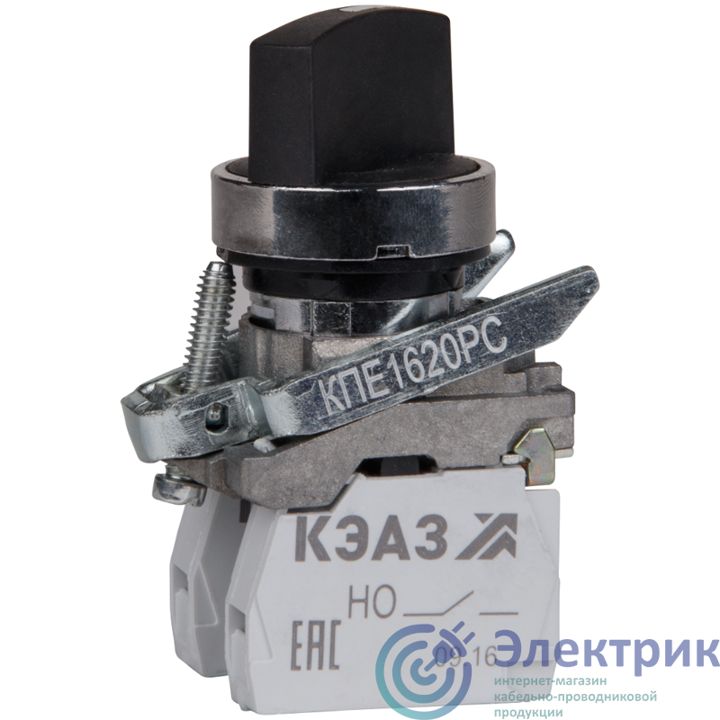 Фото КЭАЗ 248265