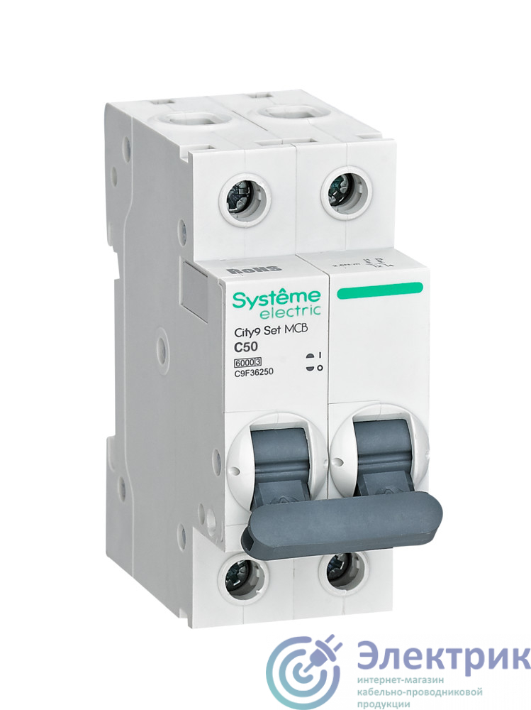 Фото Systeme Electric C9F36250