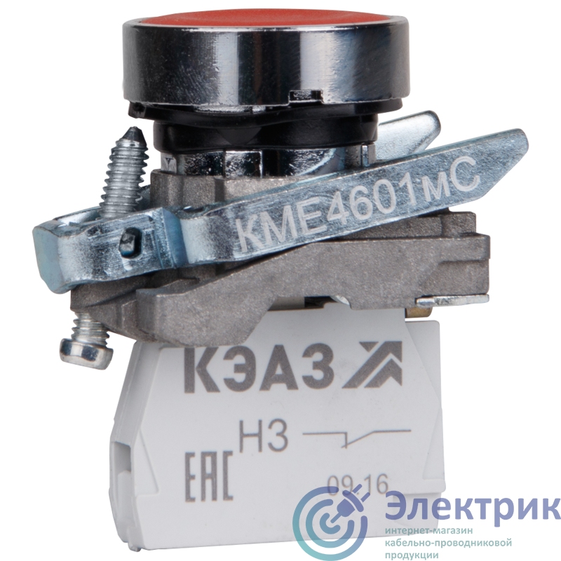 Фото КЭАЗ 248261