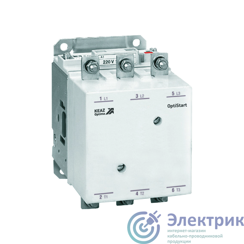 Фото КЭАЗ 335109