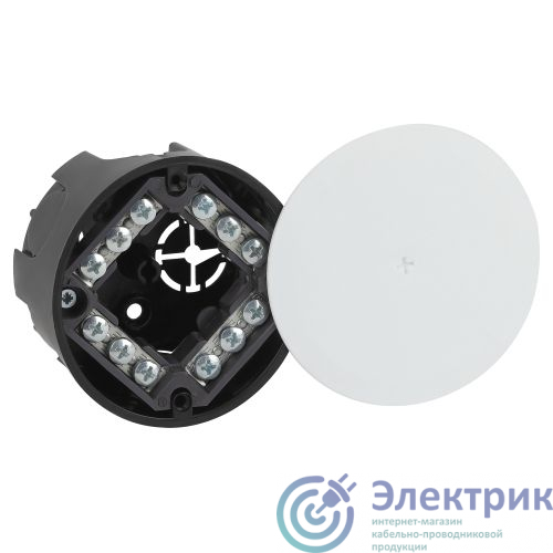 Фото Эра Б0057231