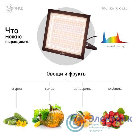 Фото Эра Б0059880