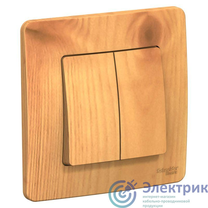 Фото Systeme Electric BLNVS010505